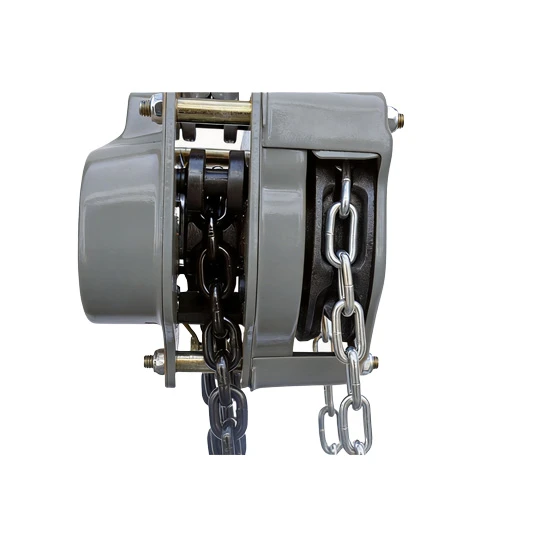 Palo de cadena manual tipo HS-VT